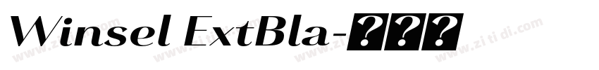 Winsel ExtBla字体转换